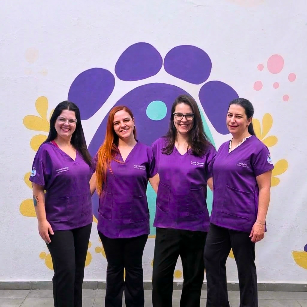 Equipe de veterinárias integrativas da Jing Vet - Dra Larissa Zanarolli, Dra Jacqueline Marcello, Dra Juliana Belé e Dra Bruna Simonato. Clínica veterinária integrativa em São Paulo, Vila Clementino, Zona Sul Veterinária humanizada e acolhedora em SP Veterinária integrativa para pet